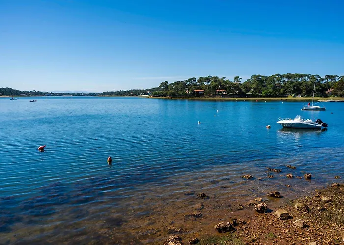 Proche Hossegor * Soorts-Hossegor