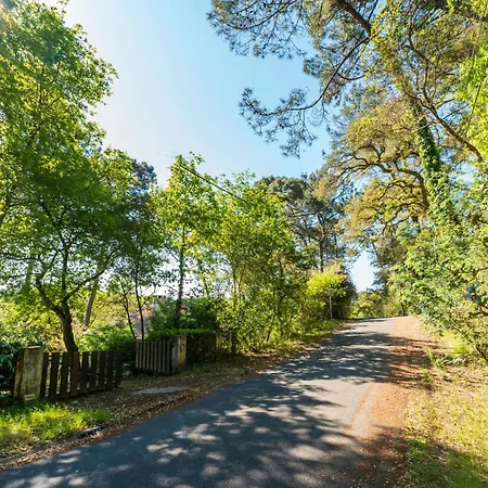 Daire Proche Hossegor Soorts-Hossegor